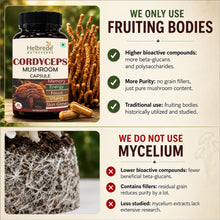 Helbrede Nutraherbs Cordyceps Mushroom Complex | Energy, Stamina & memory Support | 60 Vegetarian Capsules